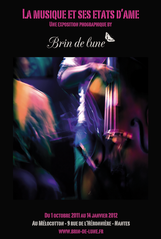 Flyer_expo_brin_de_lune